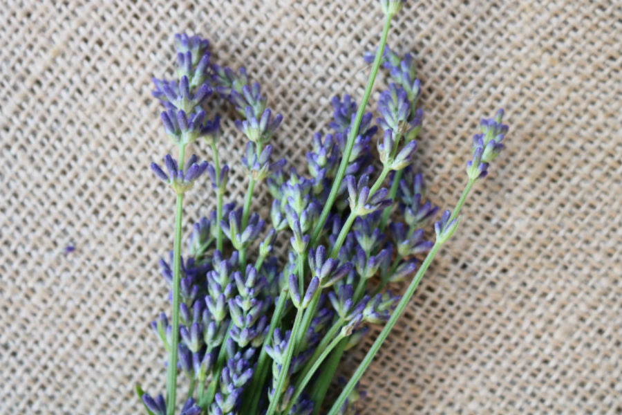 Weekly Beauty Tip - Lavender Bliss