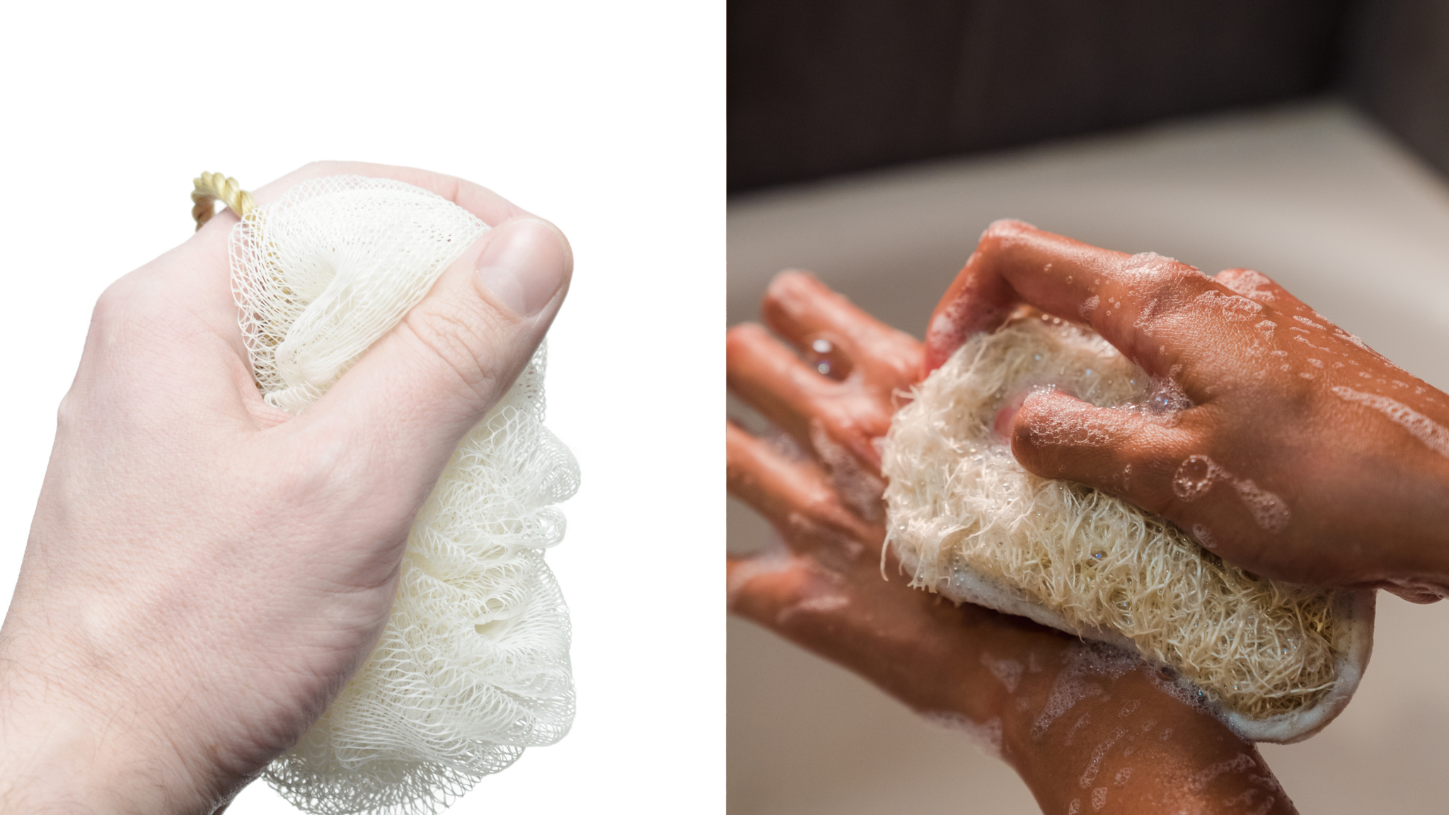 Is it Loofah or Luffa?